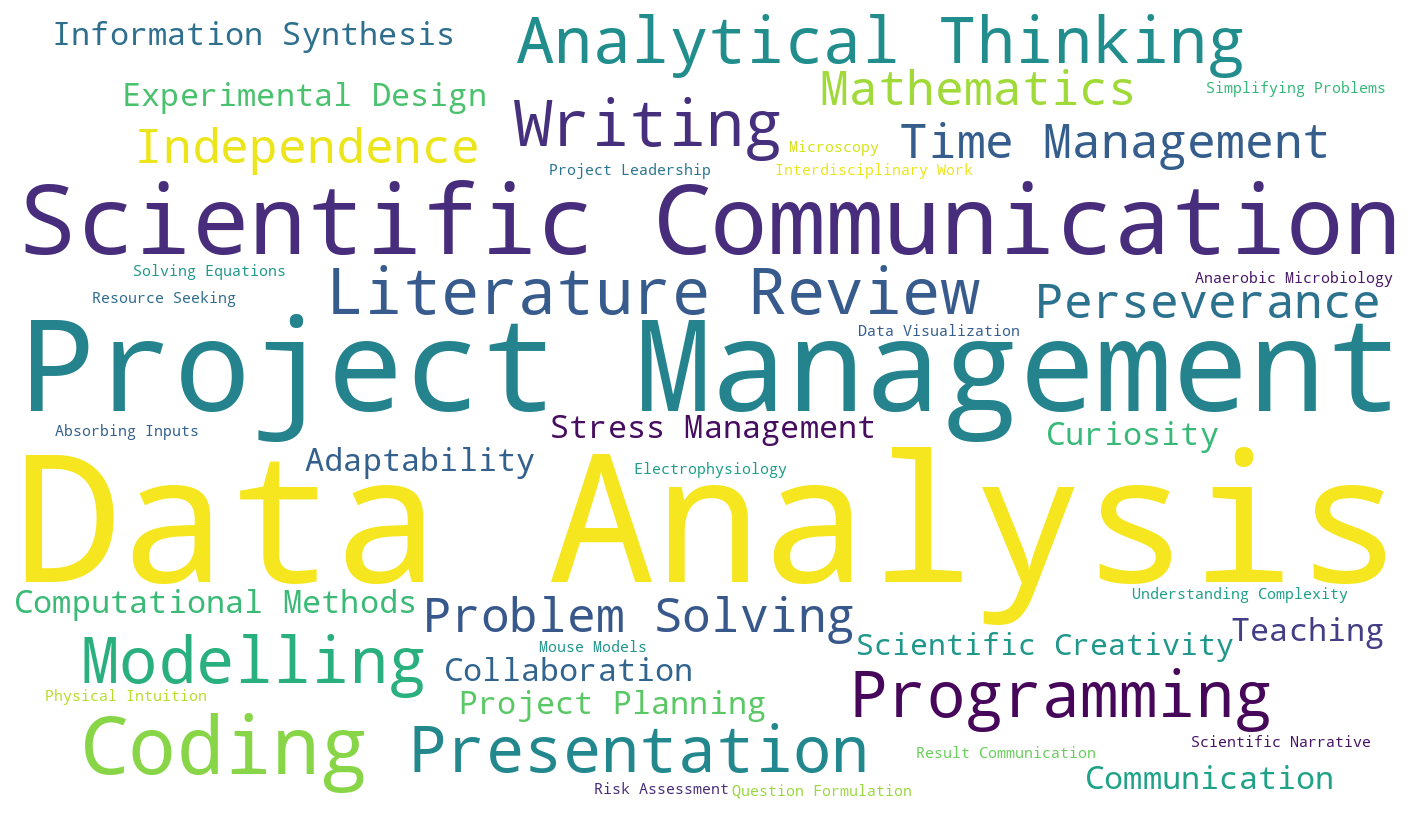 Overview of the skills named by participants.